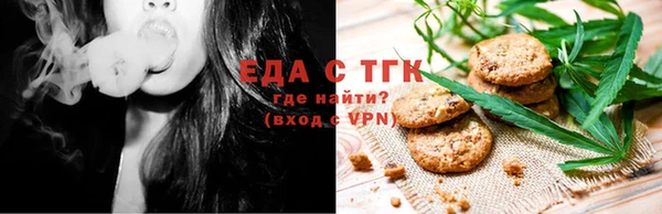 гашик Ельня