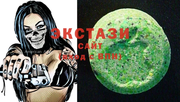 гашик Ельня