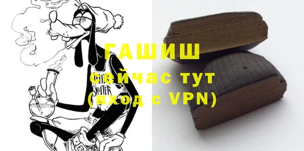 гашик Ельня