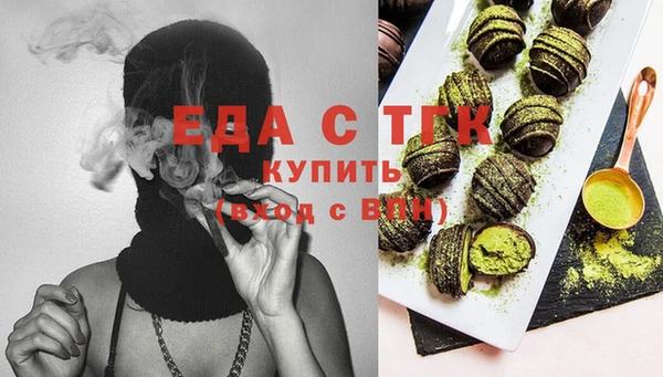 гашик Ельня