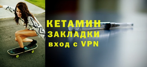 гашик Ельня