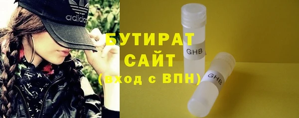 гашик Ельня
