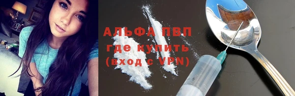 гашик Ельня