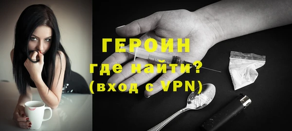 гашик Ельня