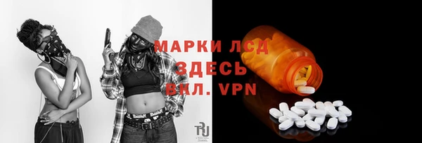 гашик Ельня