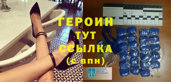 гашик Ельня