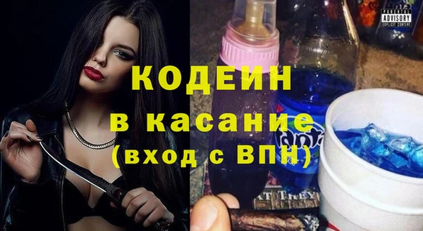 гашик Ельня