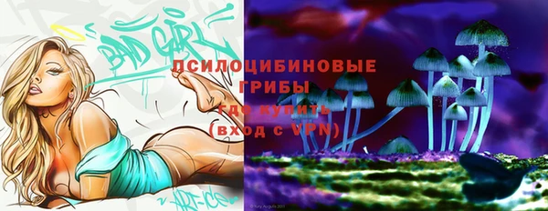 прущая мука Елизово