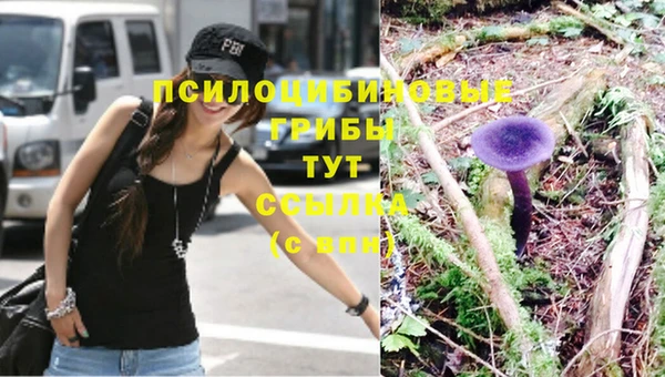 гашик Ельня