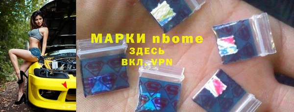 гашик Ельня