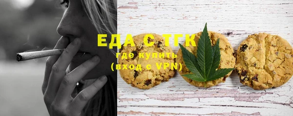 гашик Ельня