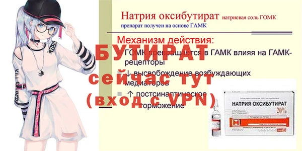 гашик Ельня