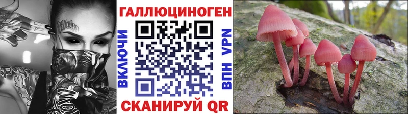 закладки  Северо-Курильск  Галлюциногенные грибы MAGIC MUSHROOMS 